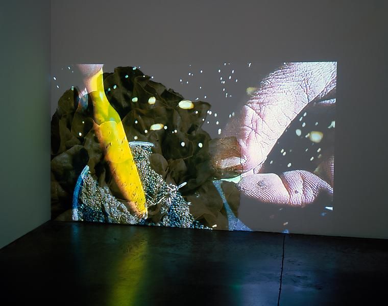 Pipilotti Rist Head Salad, 2010