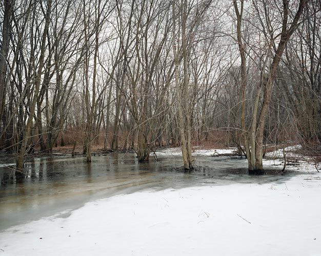 Joel Sternfeld March 27, 2007, â¨The East Meadows, Northampton, Massachusetts