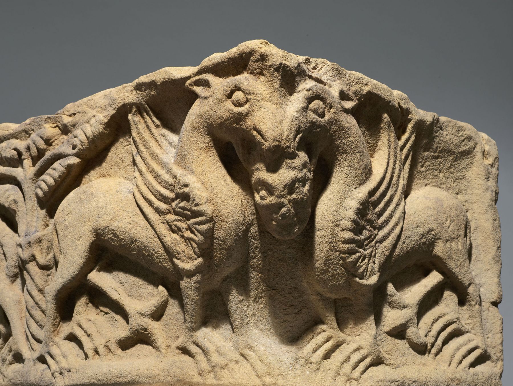 Capital with griffins (detail), Apulia, Italy