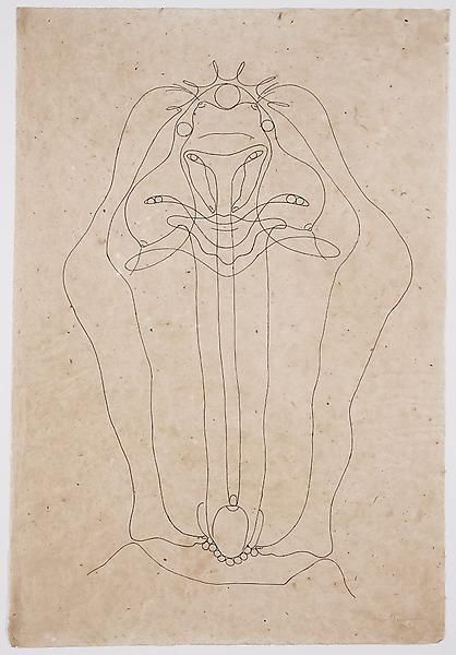 Tunga Untitled, 2013