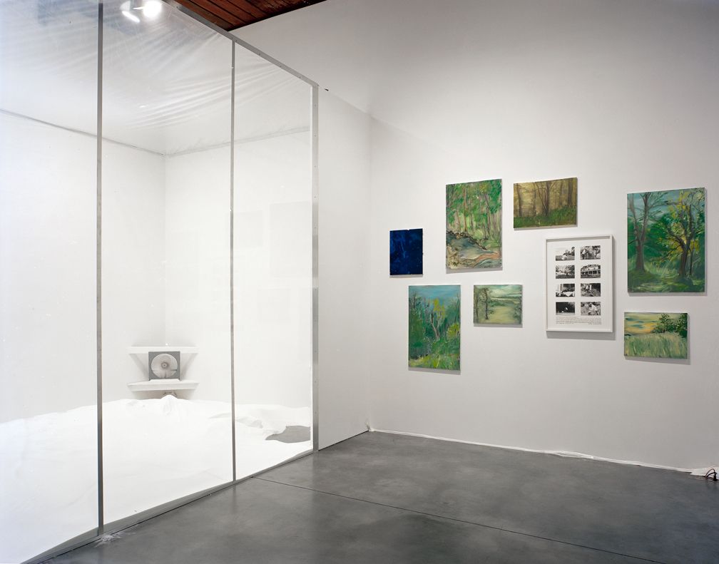 It's Not Your Fault, Installation view