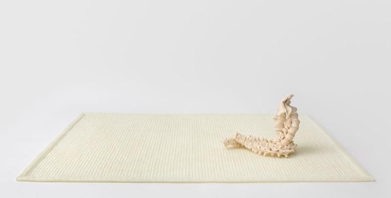 Janine Antoni to twine, 2014