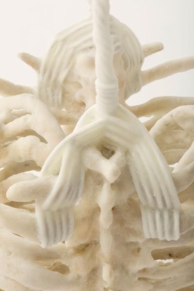 Janine Antoni to coalesce, 2014