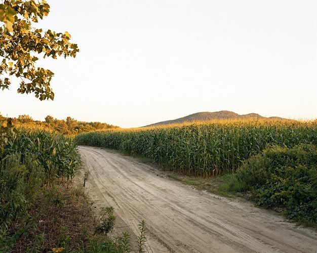 Joel Sternfeld August 19, 2006, The East Meadows, Northampton, Massachusetts