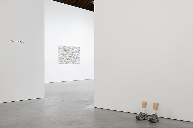 Tom Friedman New Work