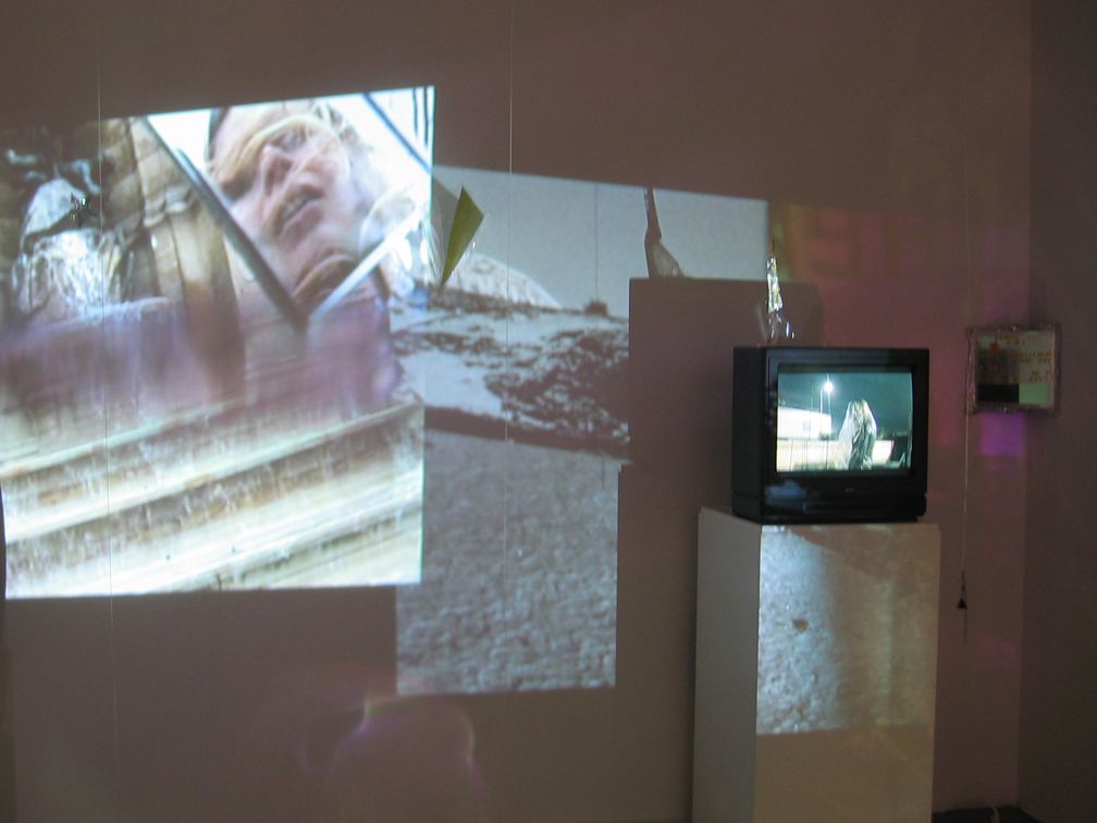 Ásdís Sif Gunnarsdóttir, Crown Without Fear, 2008