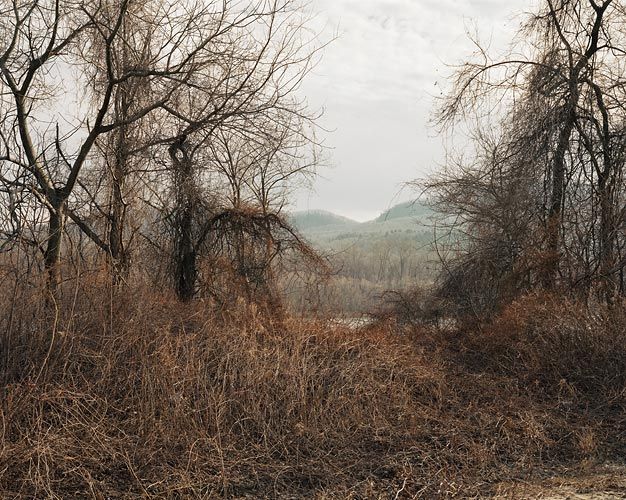 Joel Sternfeld November 29, 2006, â¨The East Meadows, Northampton, Massachusetts