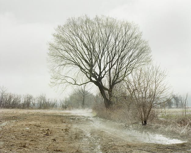 Joel Sternfeld April 19, 2007, â¨The East Meadows, Northampton, Massachusetts