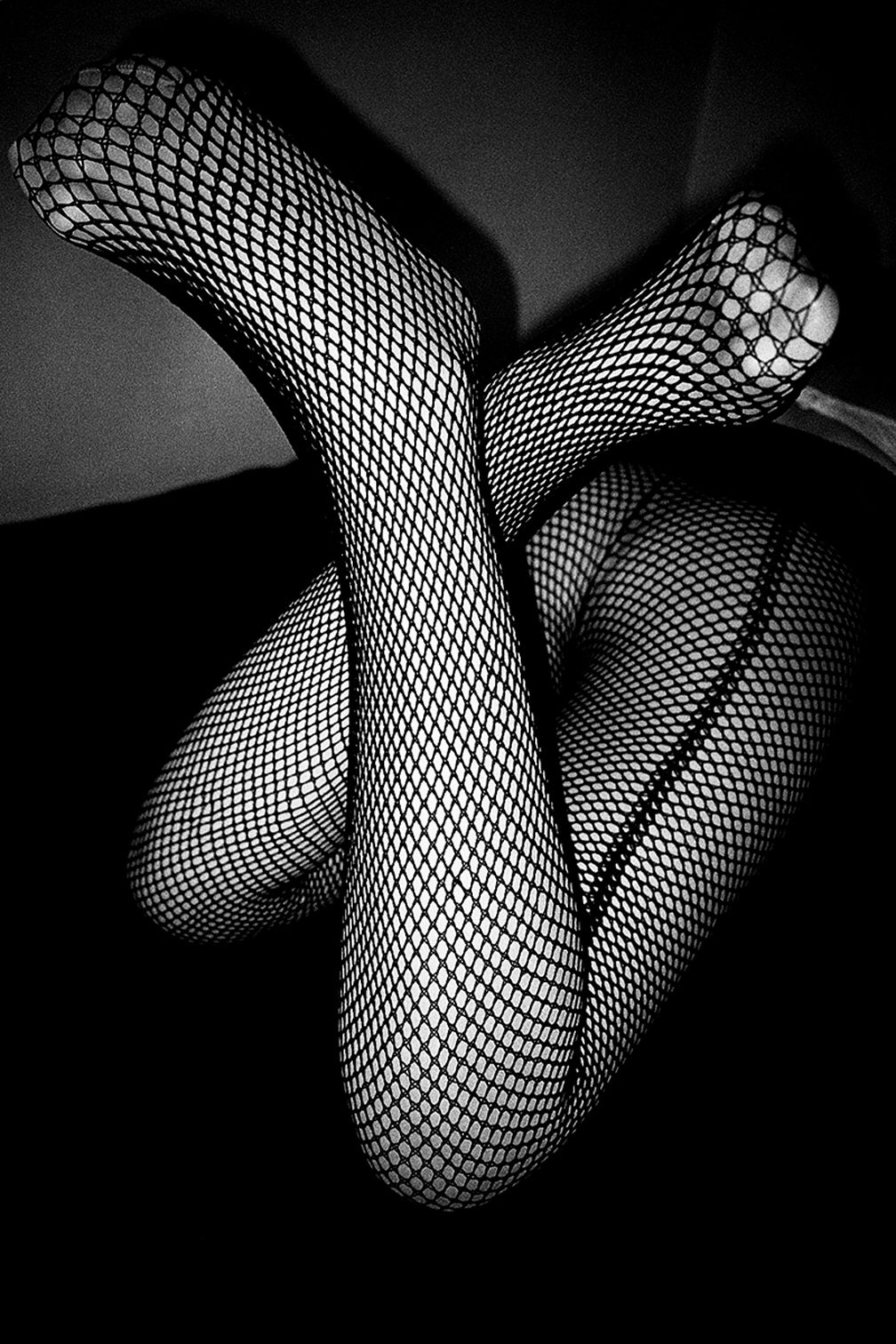 Daido Moriyama, Tights, 2017