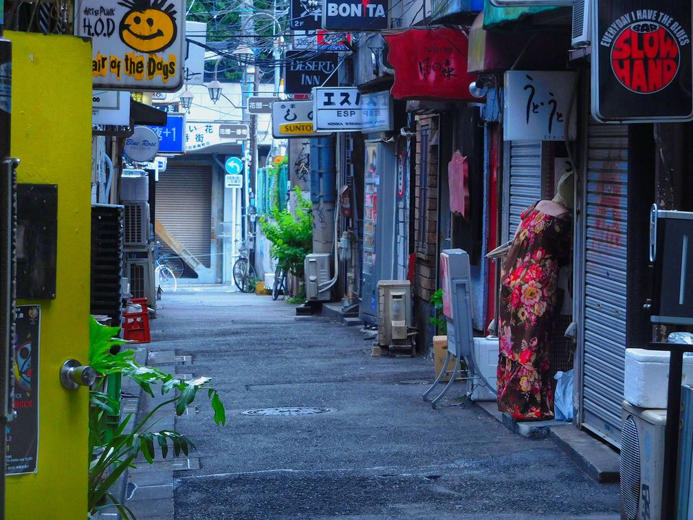 Daido Moriyama, Color, 2016/2017