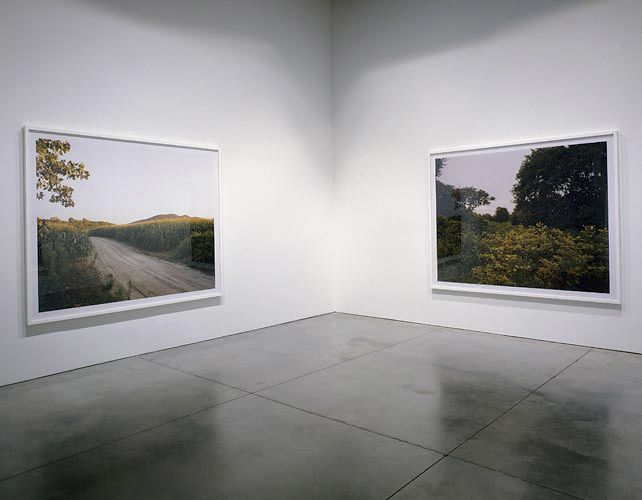 Joel Sternfeld Oxbow Archive