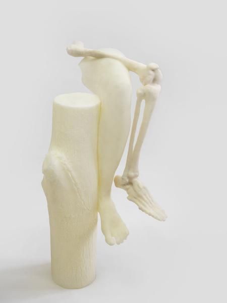 Janine Antoni to compose, 2014