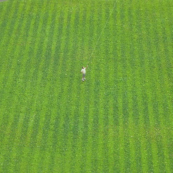 Tom Friedman, Untitled (kite), 2012
