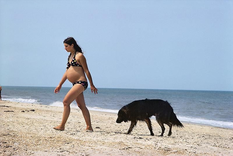 Joel Sternfeld, Nags Head, North Carolina, (#8), June-August 1975