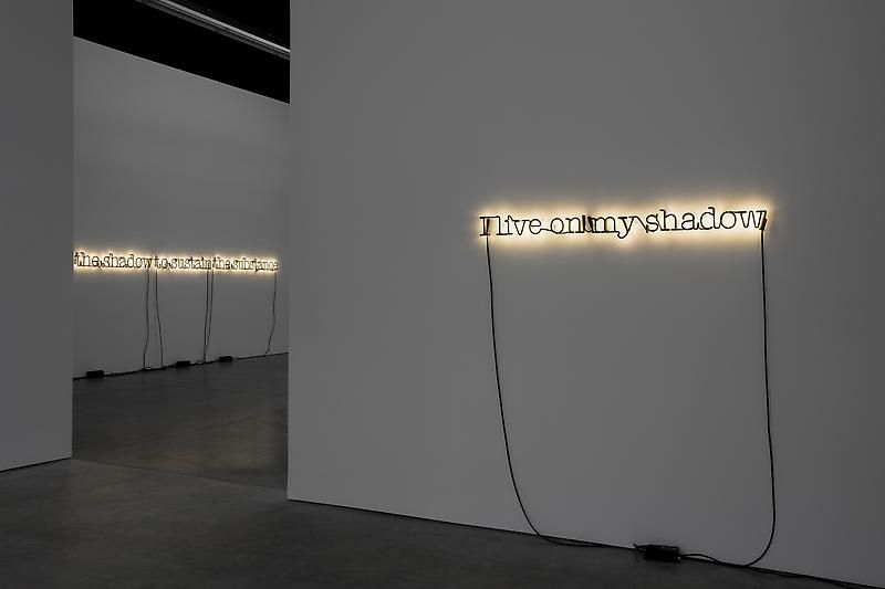 Glenn Ligon, Neon