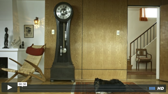 Dog & Clock