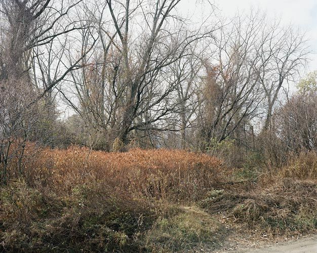 Joel Sternfeld November 17, 2007, The East Meadows, Northampton, Massachusetts