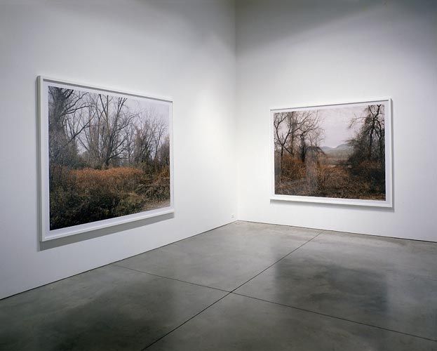 Joel Sternfeld Oxbow Archive