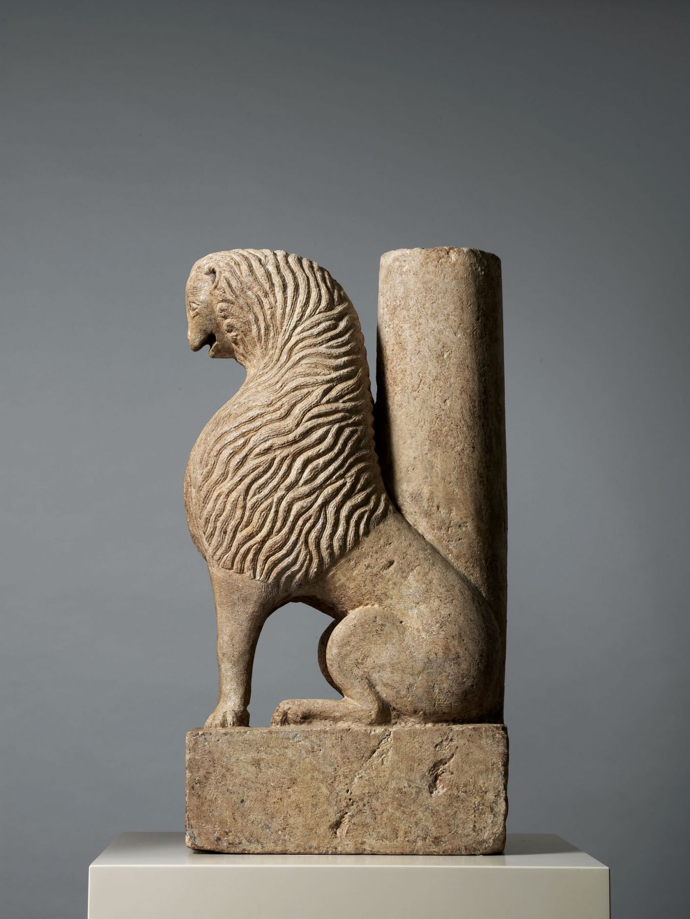 A seated lion, Apulia, Southern Italy 