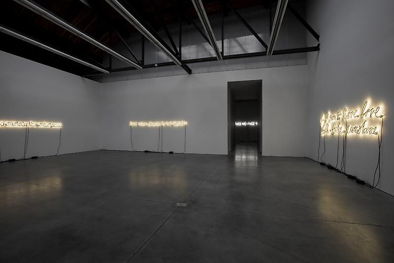Glenn Ligon, Neon