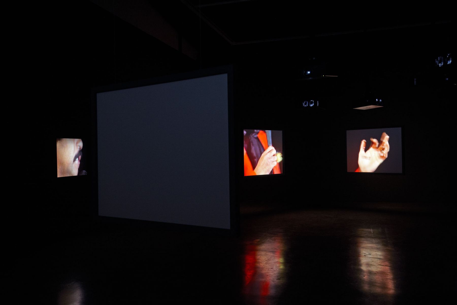 Glenn Ligon Live, 2014 