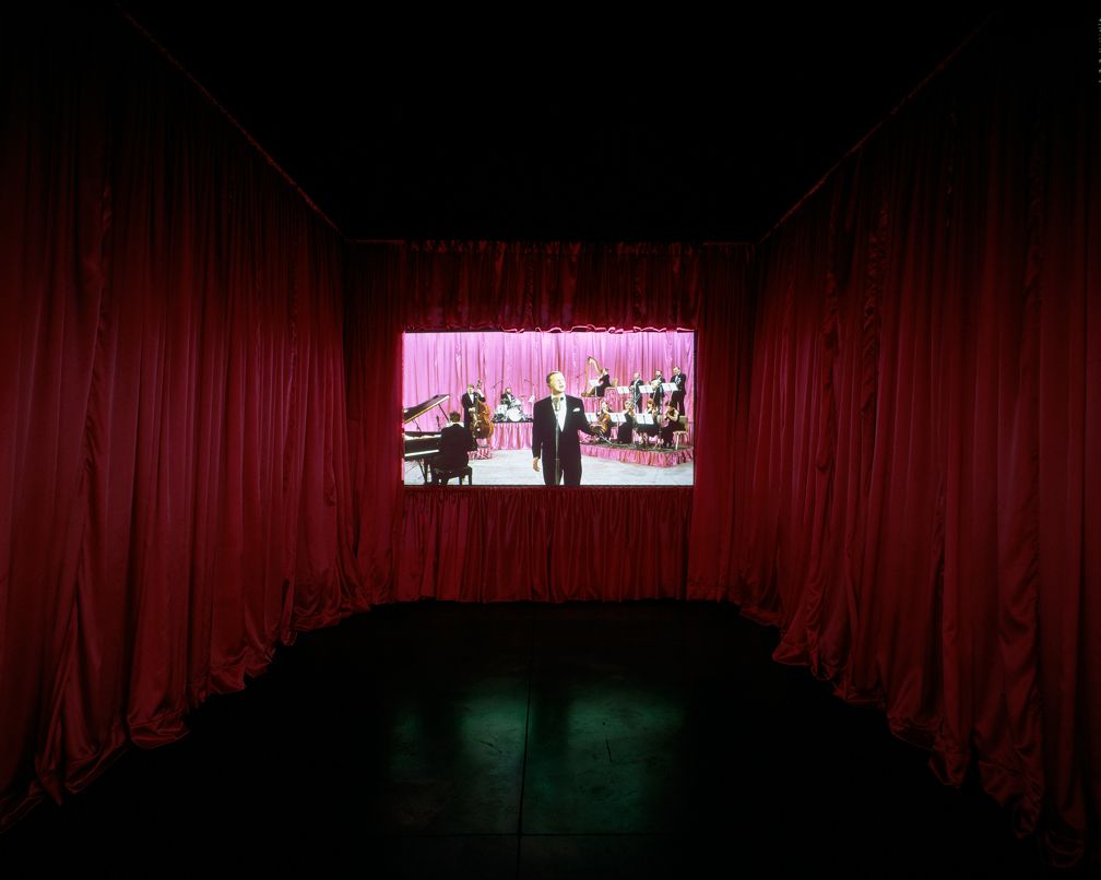 It's Not Your Fault, Installation view