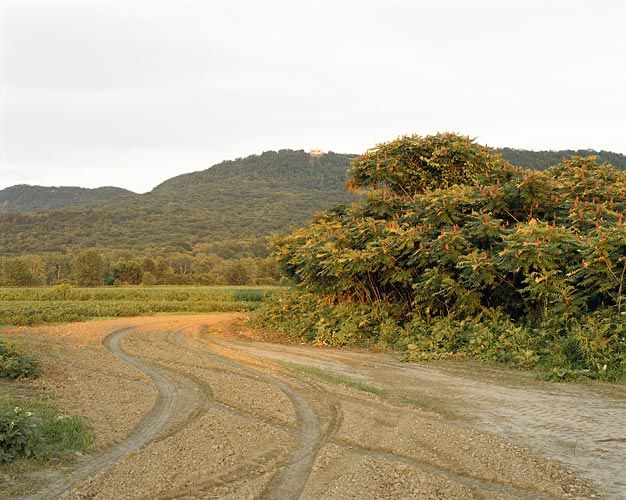 Joel Sternfeld July 29, 2005, The East Meadows, Northampton, Massachusetts