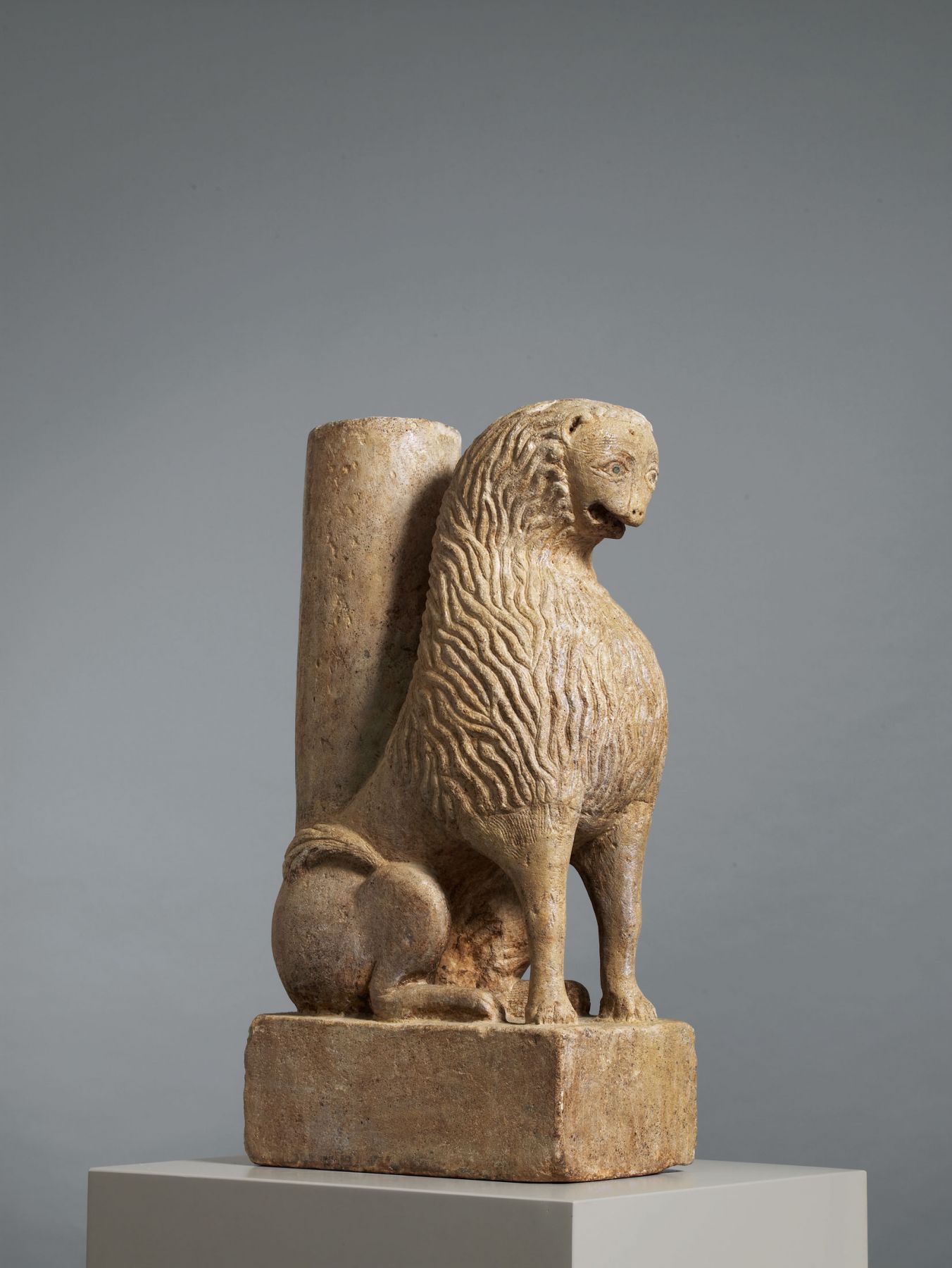 A seated lion, Apulia, Southern Italy