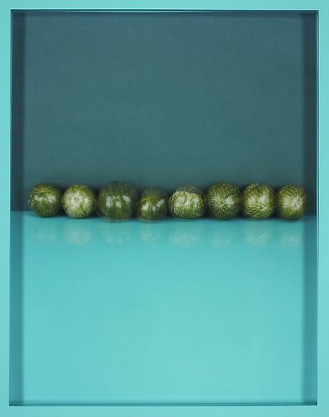 Elad Lassry Heirloom Tomatoes, 2010