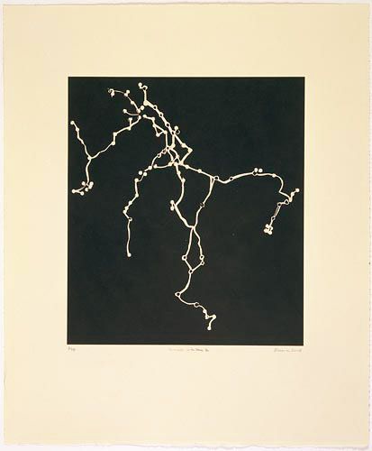 Zarina Travels with Rani II, 2008