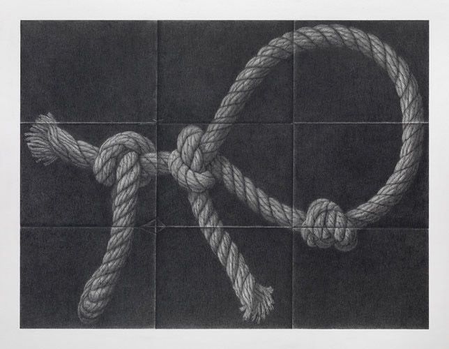David Musgrave Rope animal, 2008