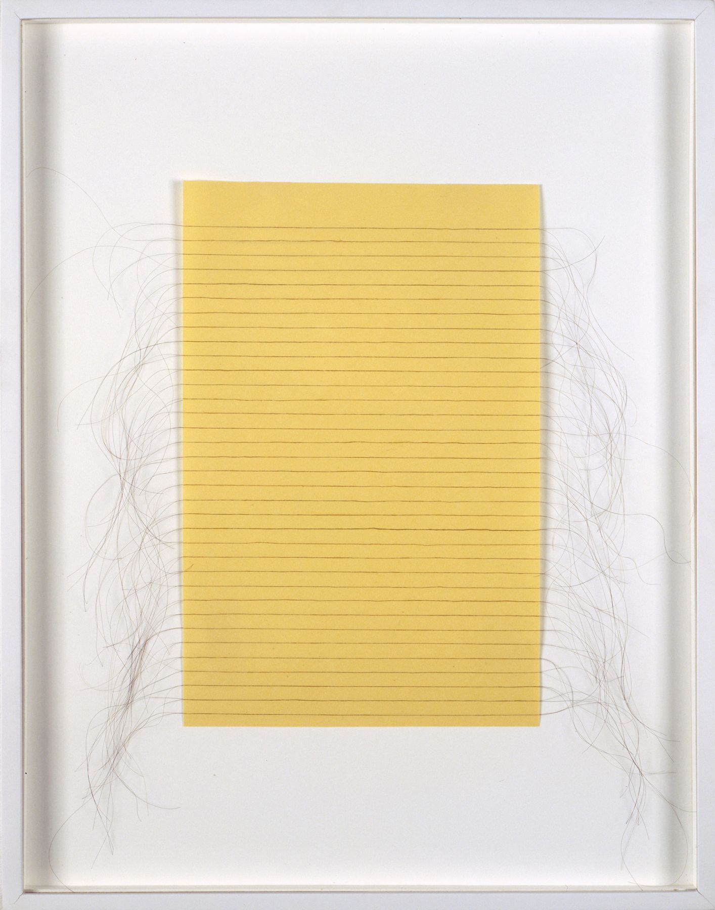 Janine Antoni, Loose Leaf, 1990-1995