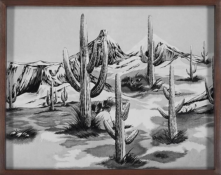 Elad Lassry Desert, 2010