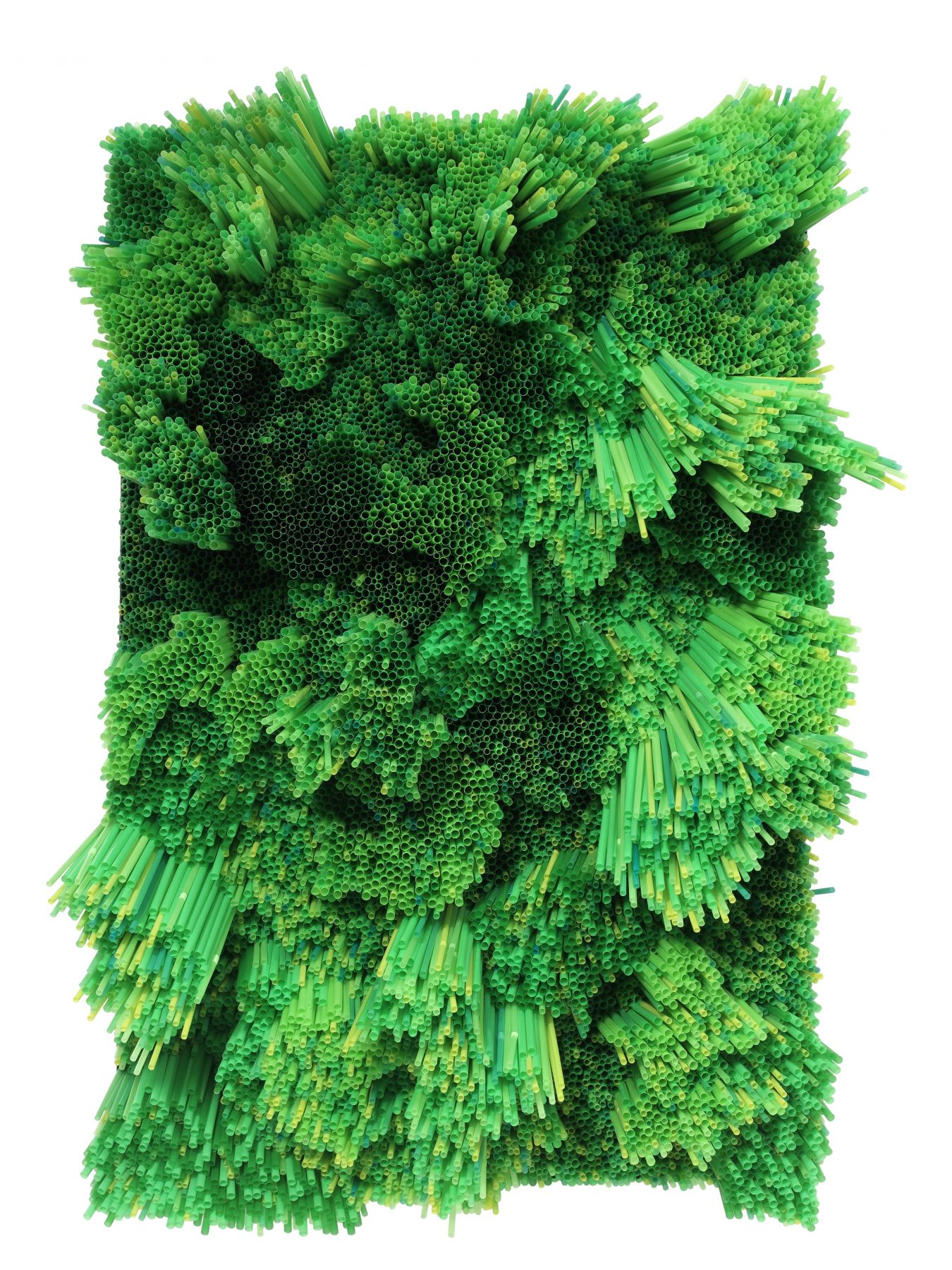 Francesca Pasquali, Green Straws, 2013