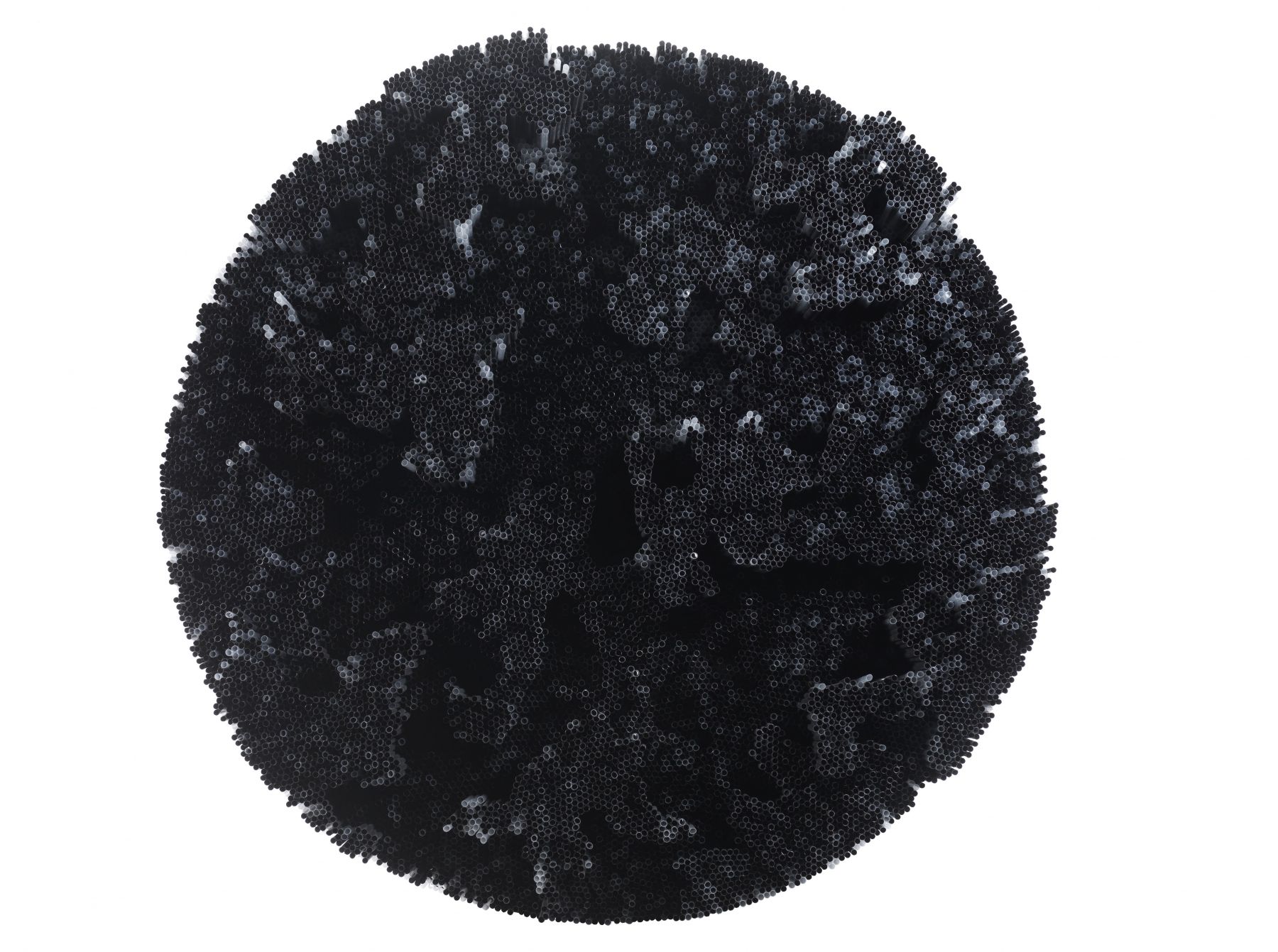 Francesca Pasquali, Black Straws, 2015
