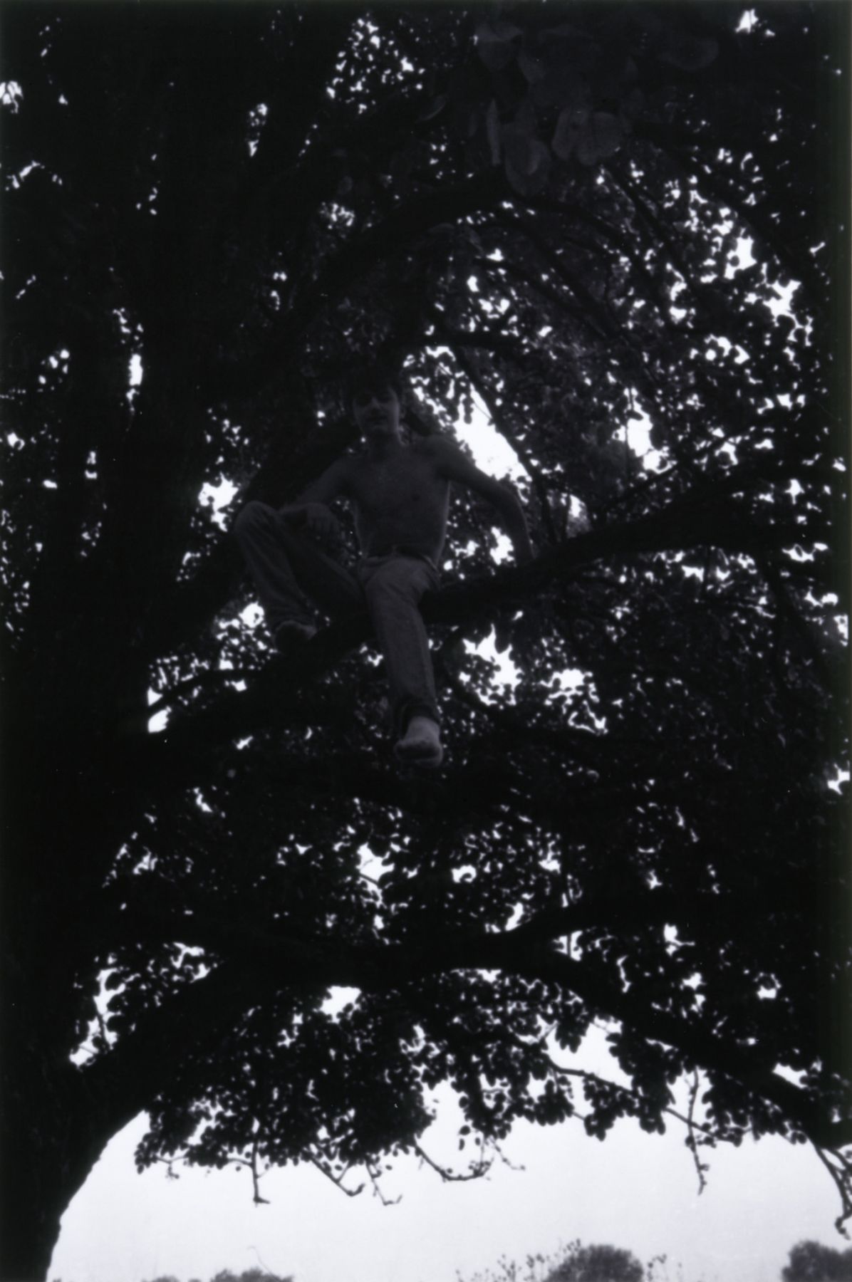 Collier Schorr, from The Singing Detective, 1995
