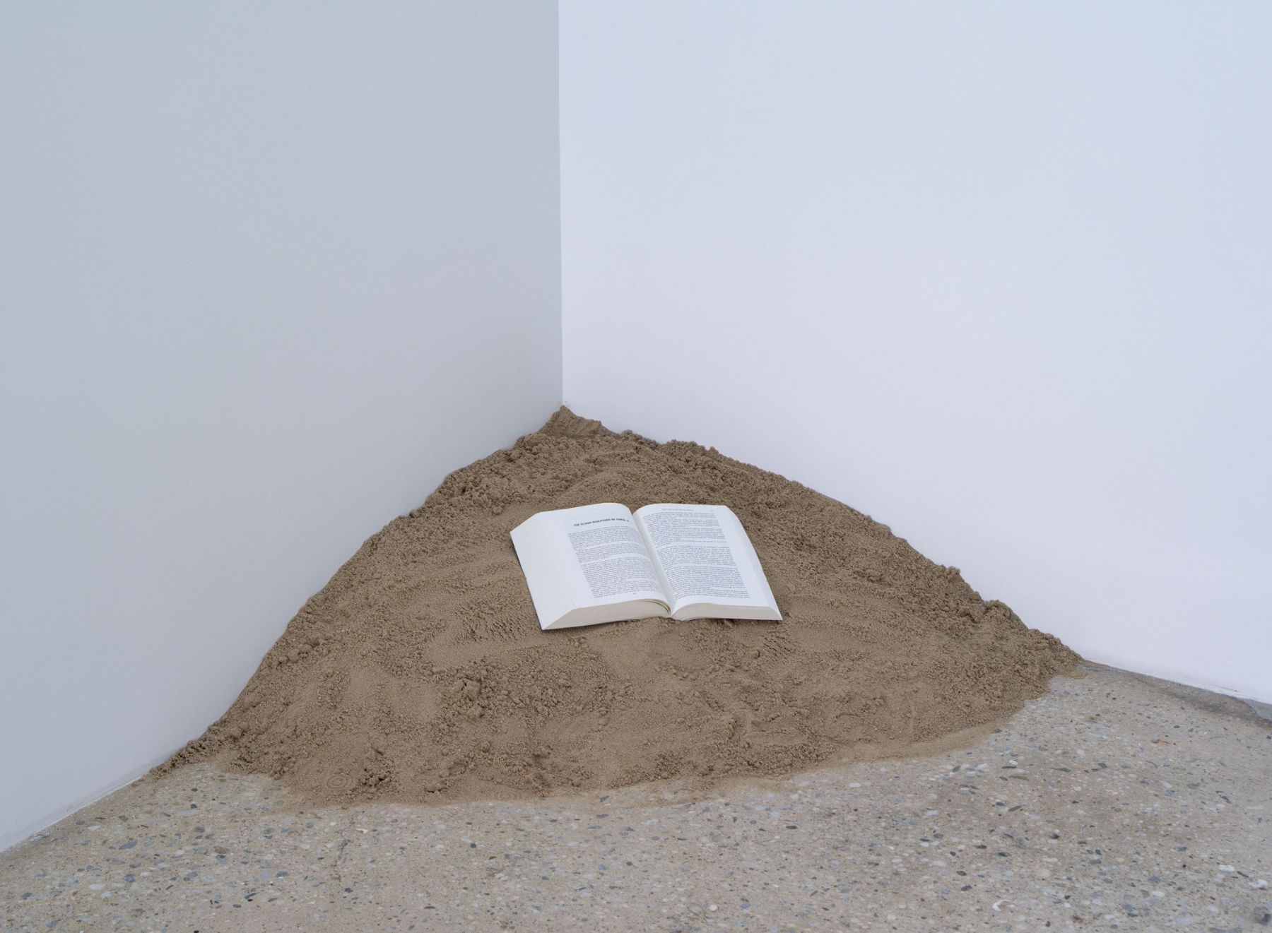 Dominique Gonzalez-Foerster, Untitled, 2011