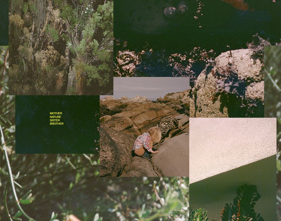collage 1