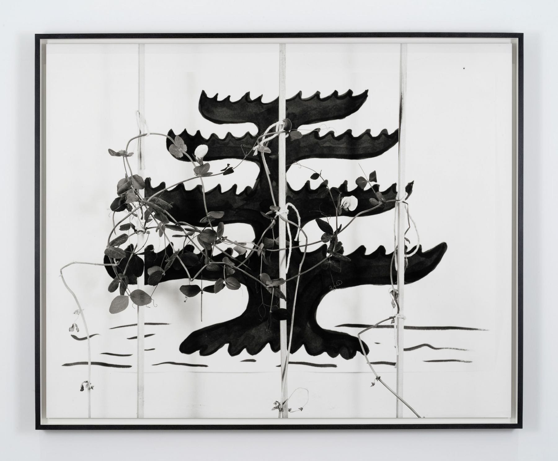Marina Pinsky, Pine Tree Flag 2, 2017