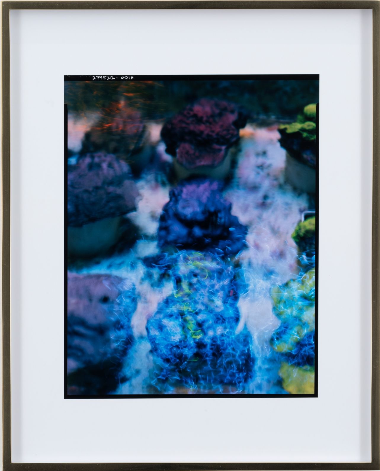 Elad Lassry, Untitled (Corals), 2018