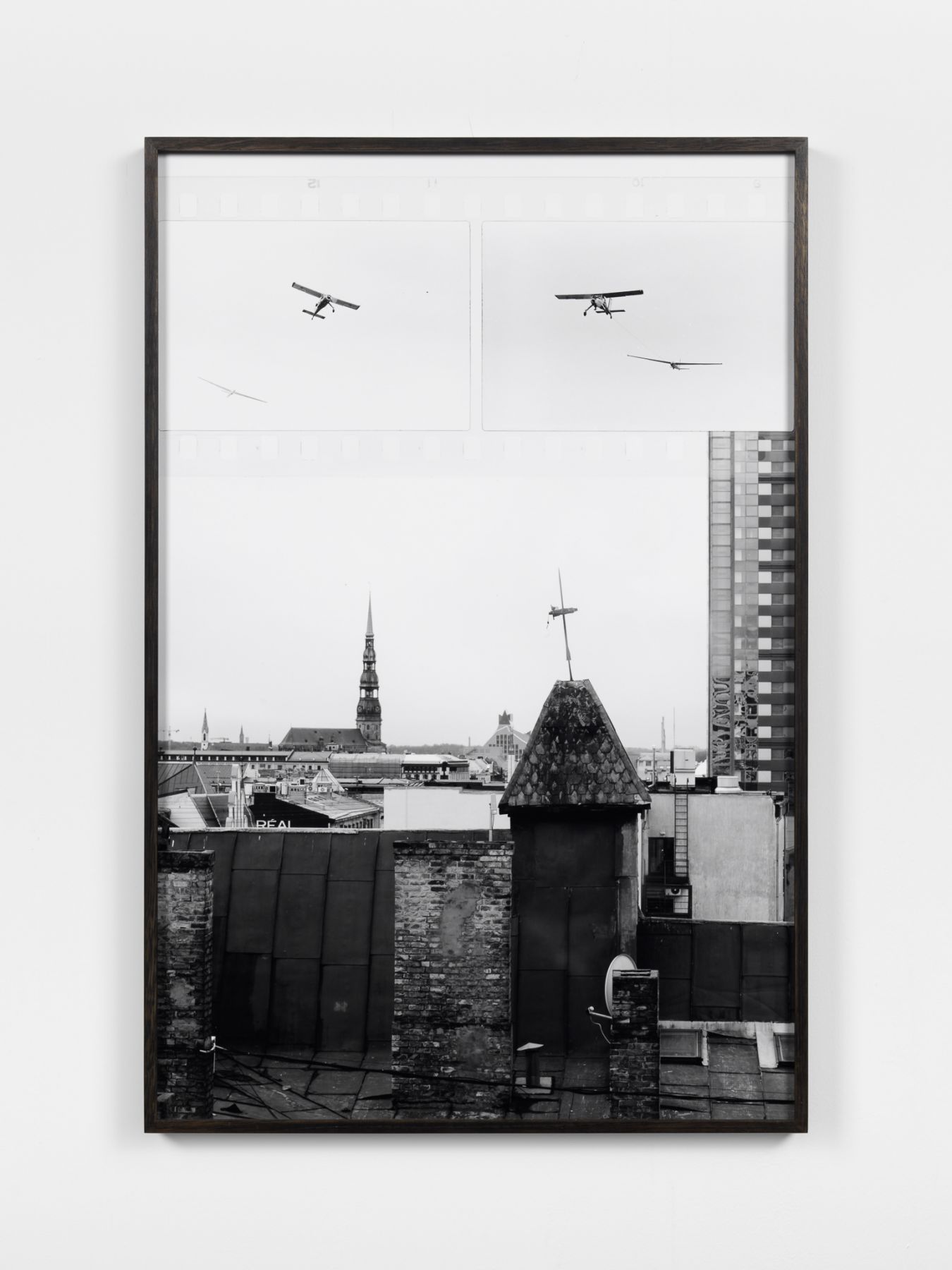 Marina Pinsky, Library Panorama (Part 3)