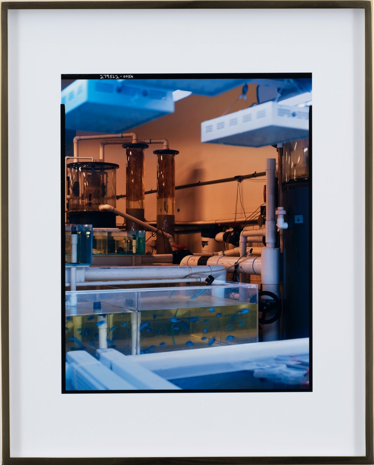 Elad Lassry, Untitled (Facility B), 2018