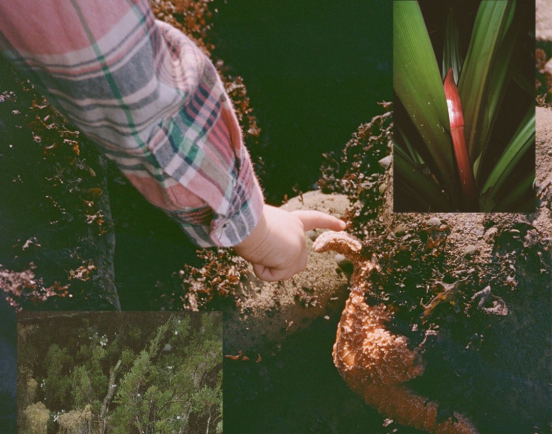 collage