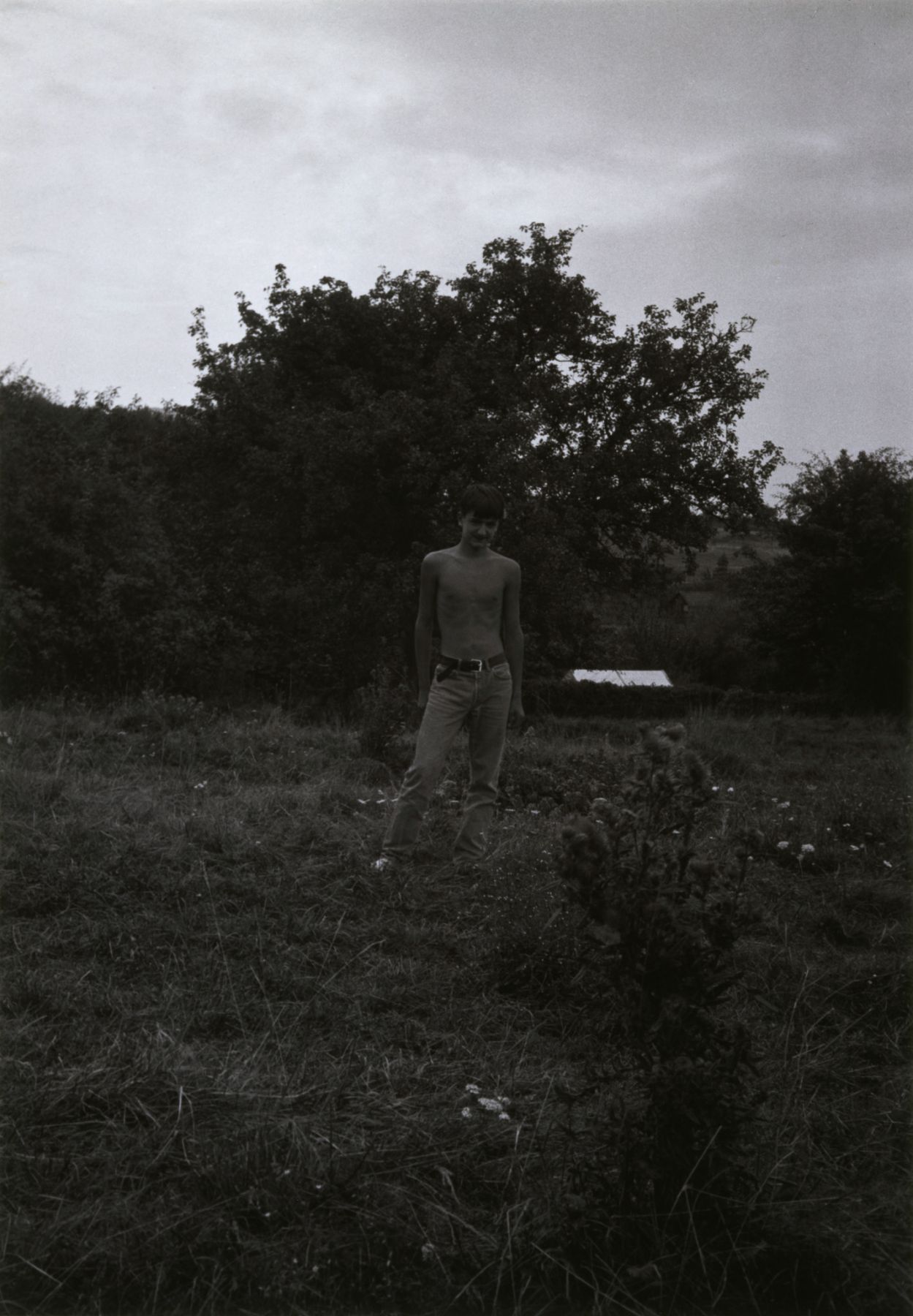 Collier Schorr, For Philip Taaffe after Reading about His Trip to Tangiers, 1994