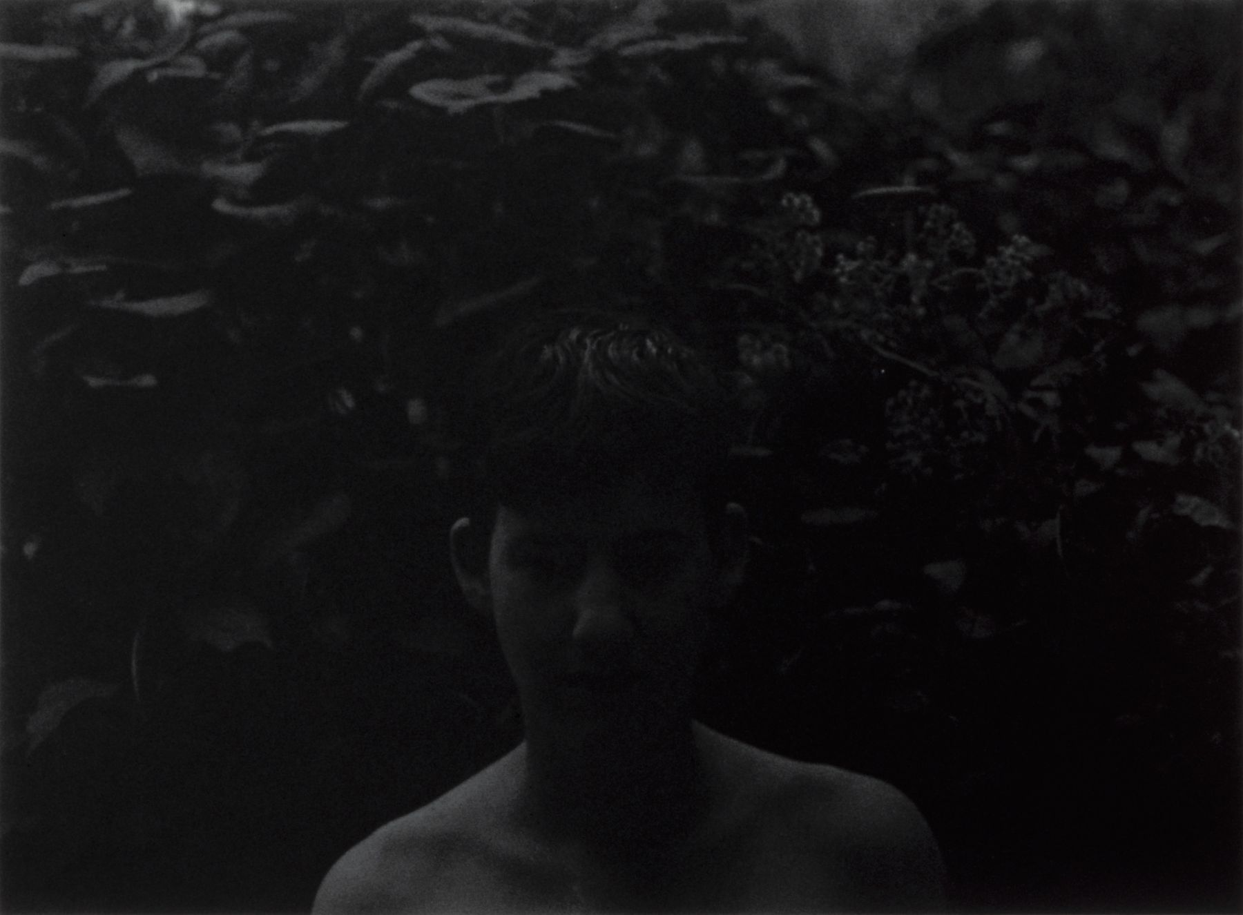 Collier Schorr, The Last to Know What It's Like to be a Traitor, 1994