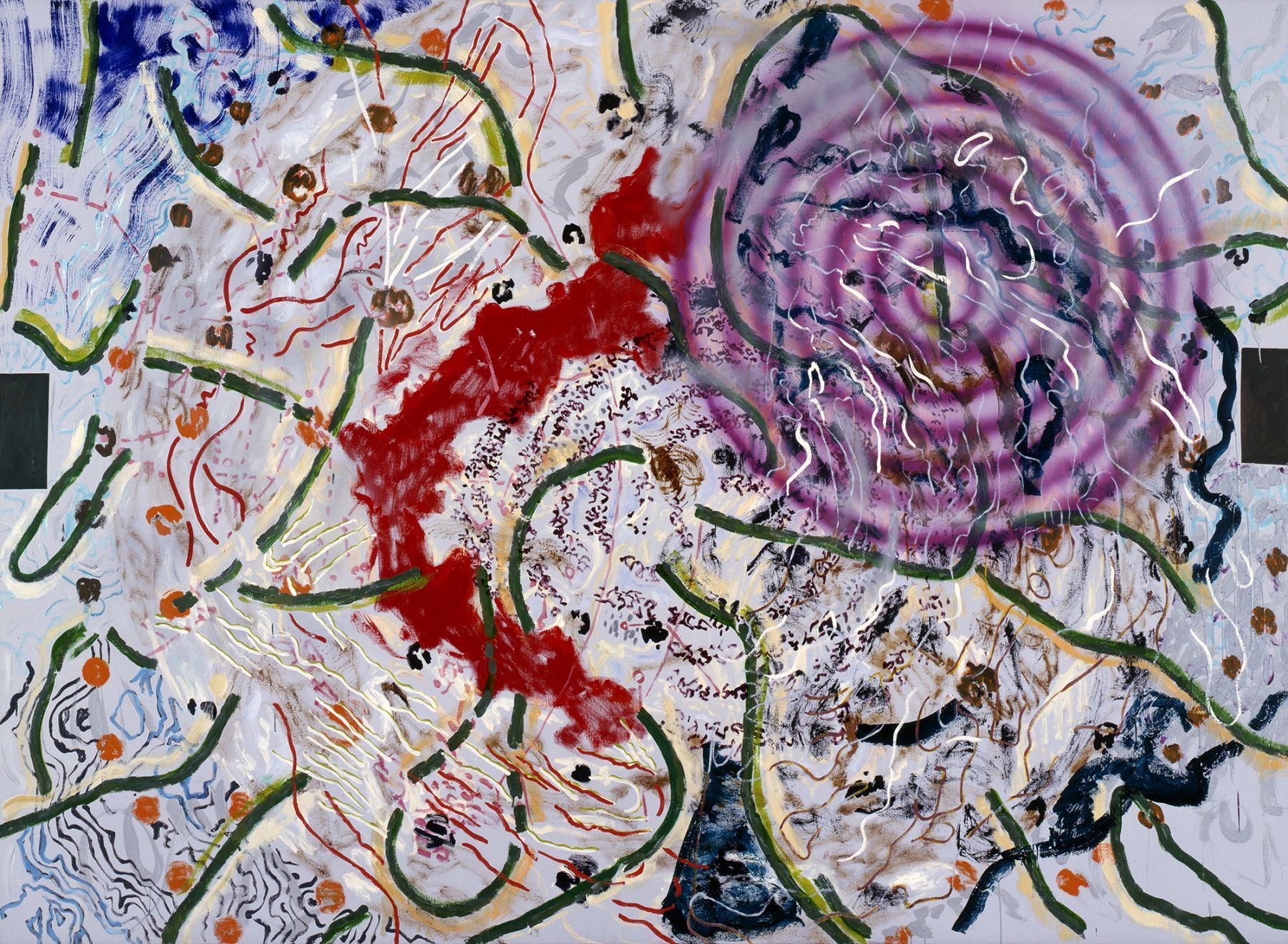 Nancy Graves Artists Locks Gallery