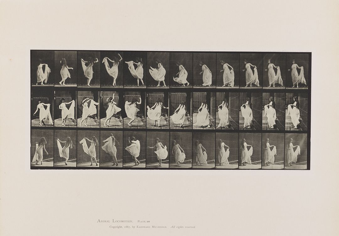 Eadweard Muybridge and Sol LeWitt Exhibitions Craig F
