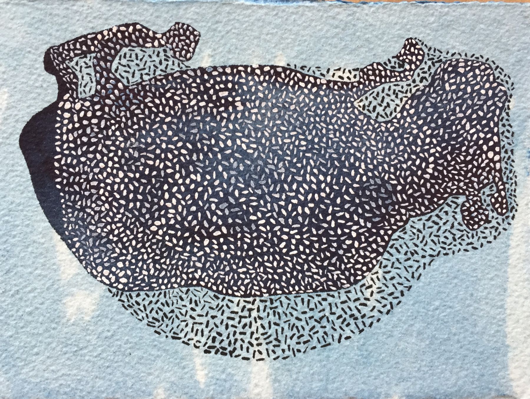 Manisha Parekh Blue Shadows