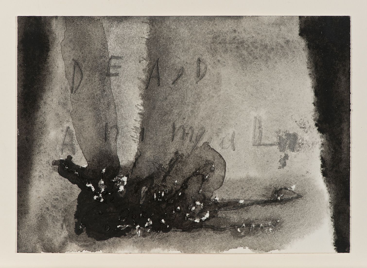 David Lynch, Dead Animal