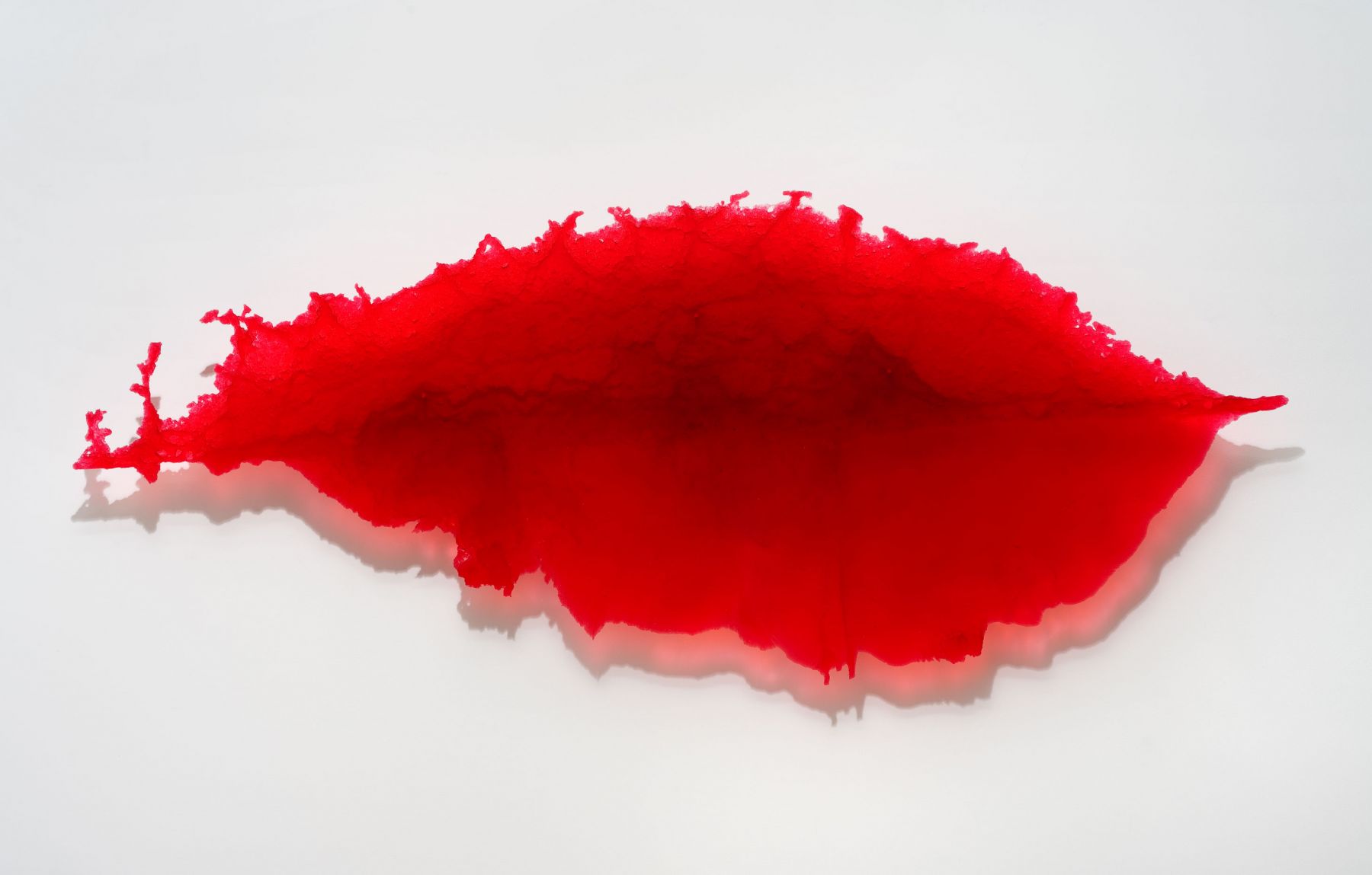 Daniel Knorr, Depression Elevation